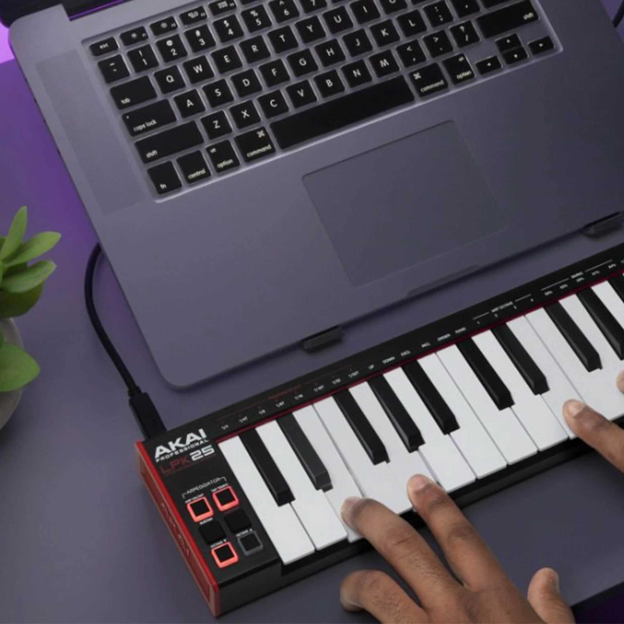 Akai Professional LPK25 MKII Laptop Controller Keyboard - Image 4