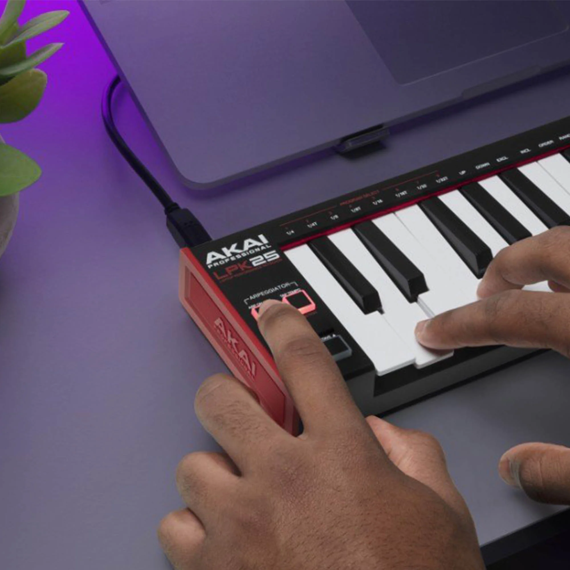 Akai Professional LPK25 MKII Laptop Controller Keyboard - Image 6