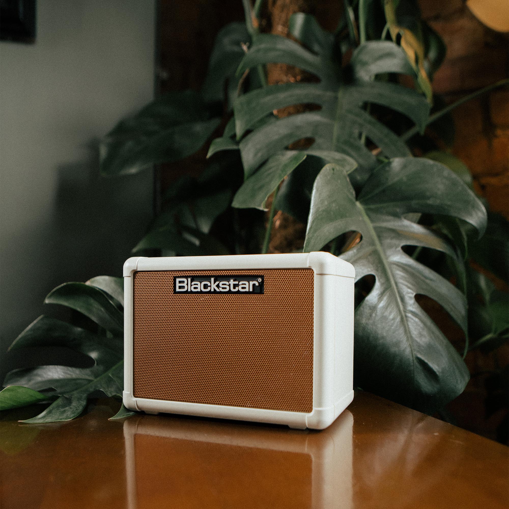 Blackstar Fly 3 Acoustic Guitar Mini Amplifier - Image 7