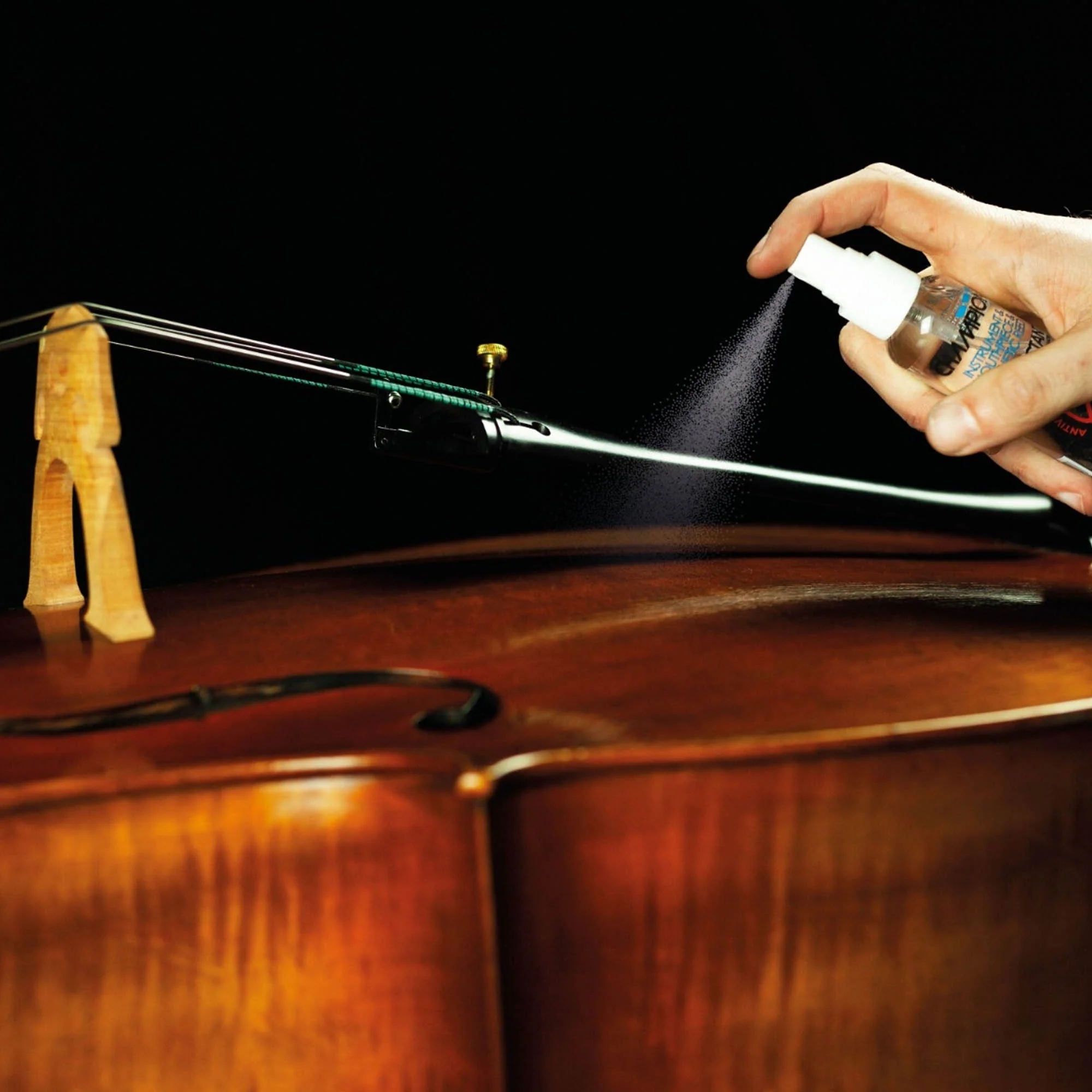Champion Steriliser Spray - Image 4