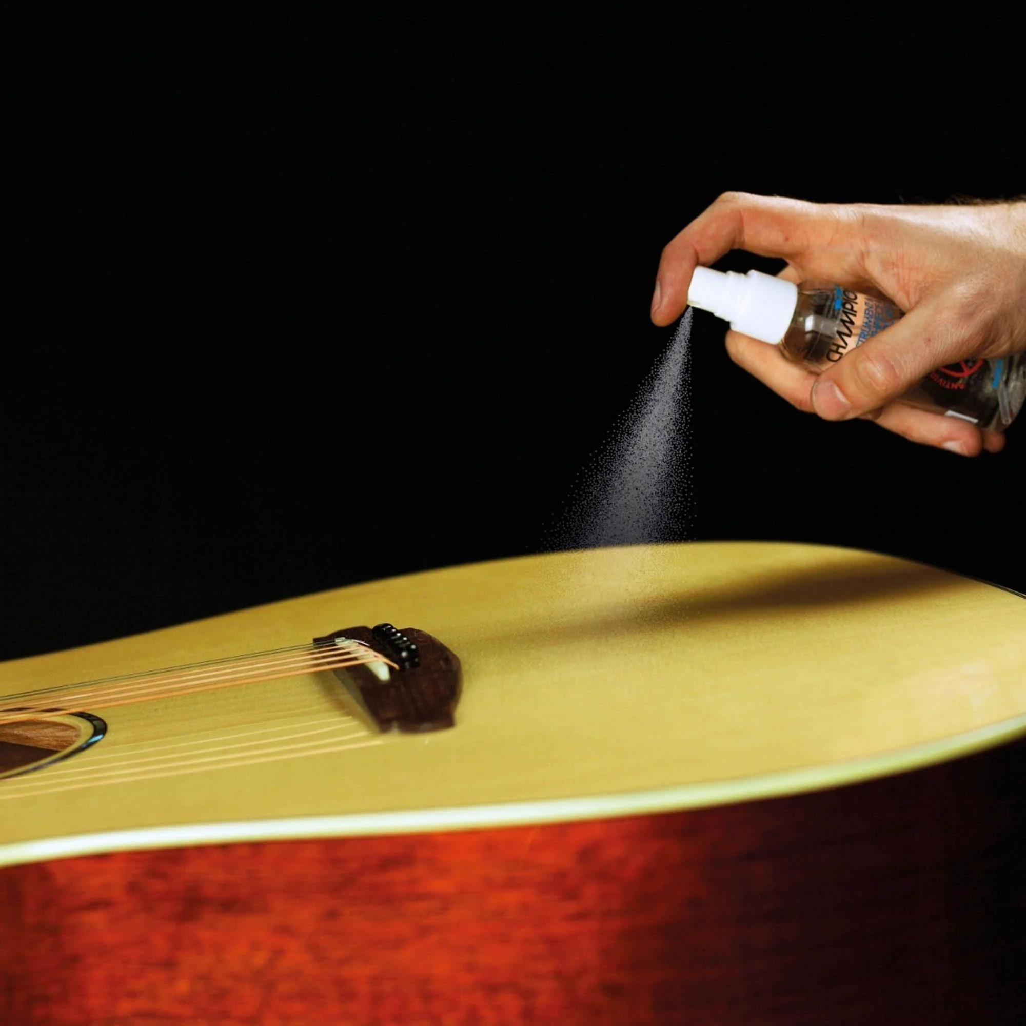 Champion Steriliser Spray - Image 6