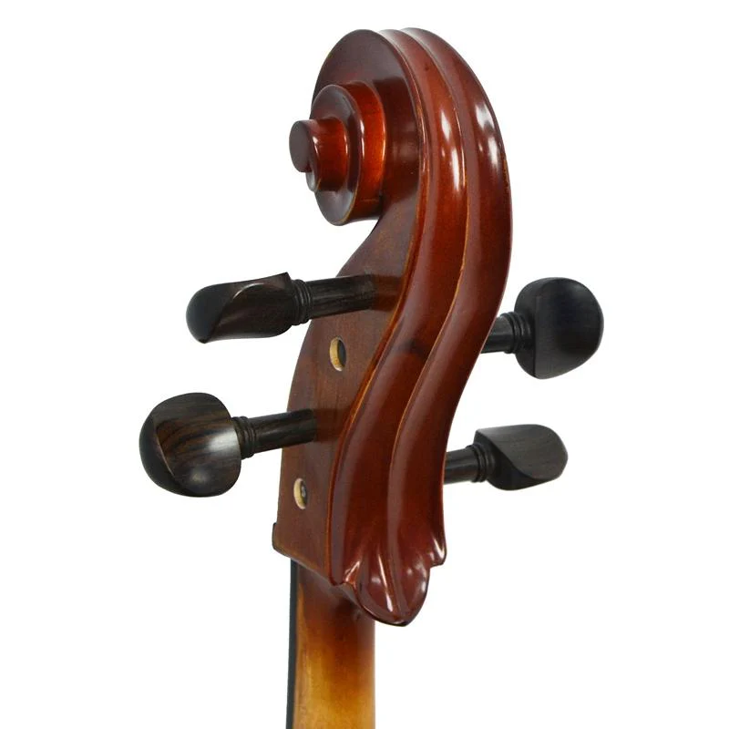 Forenza Prima 2 Cello Outfit - 1/2 Size - Image 6