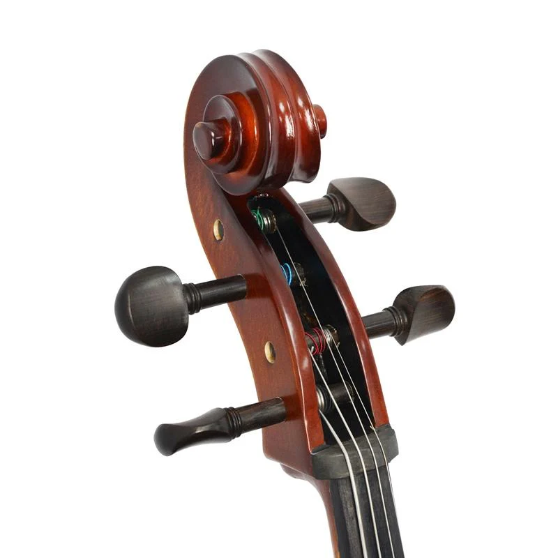 Forenza Prima 2 Cello Outfit - Full Size - Image 5