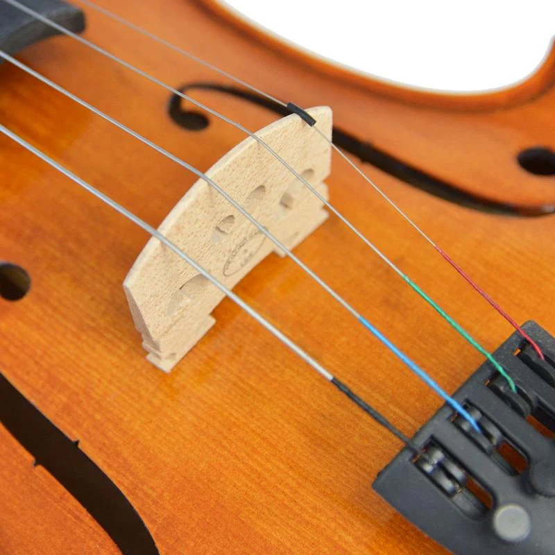 Forenza Prima 2 Viola Outfit - 15.5 Inch - Image 5