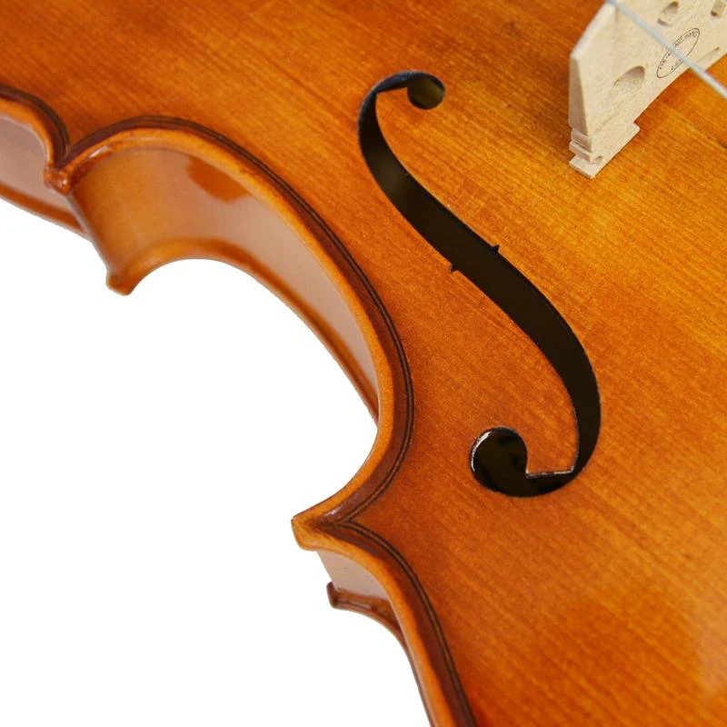 Forenza Prima 2 Viola Outfit - 15 Inch - Image 7