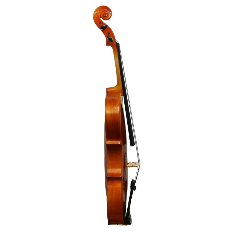 Forenza Prima 2 Viola Outfit - 16 Inch - Image 3