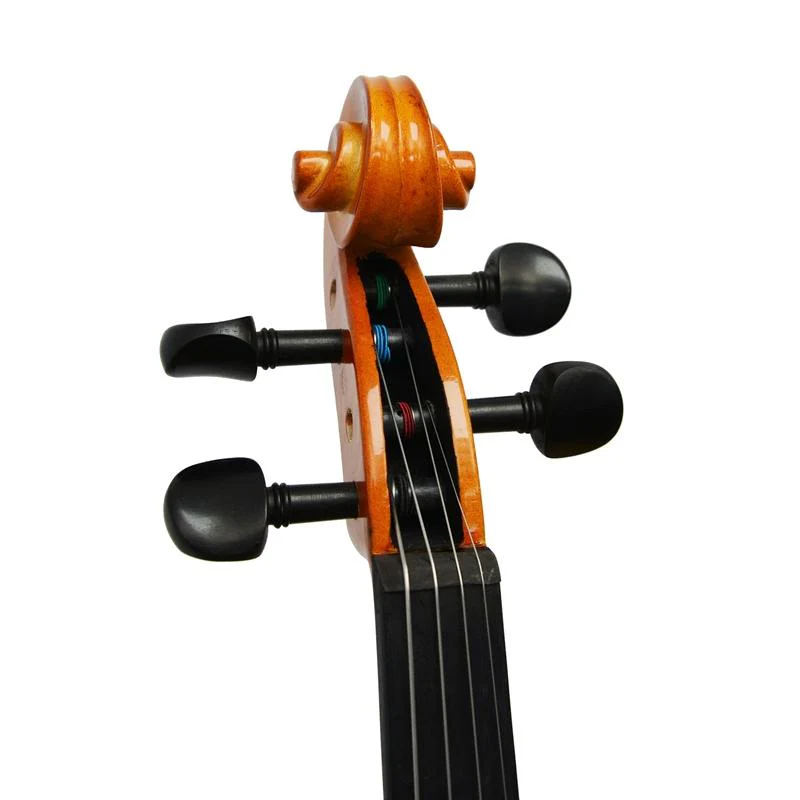 Forenza Prima 2 Viola Outfit - 16 Inch - Image 9