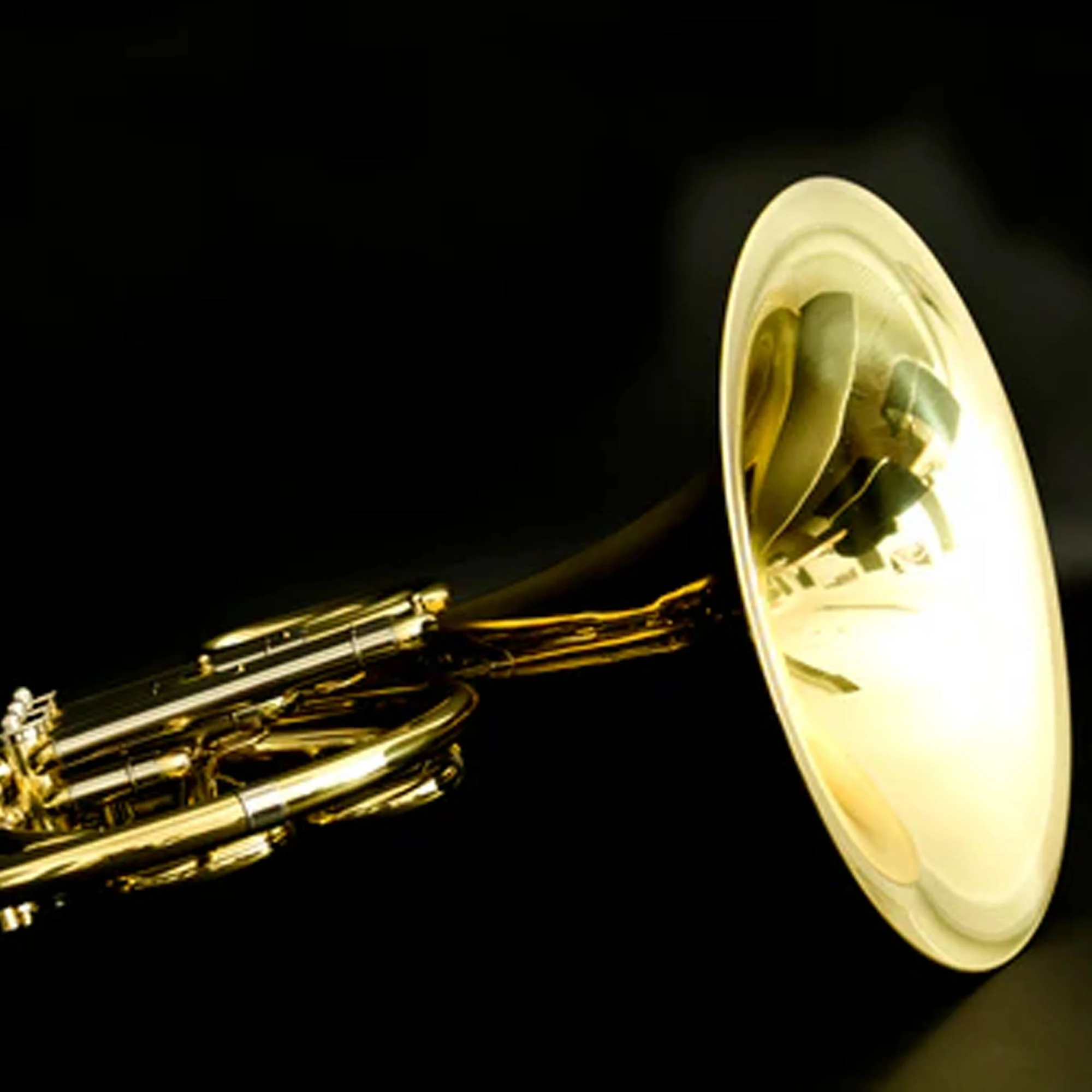John Packer JP163 Compensating Bb/F French Horn - Image 6
