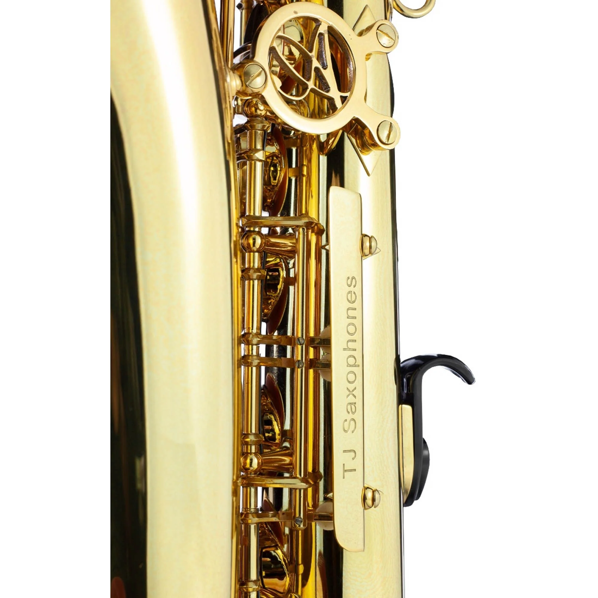 Trevor James Alphasax Alto Saxophone Outfit - Lacquer - Image 4