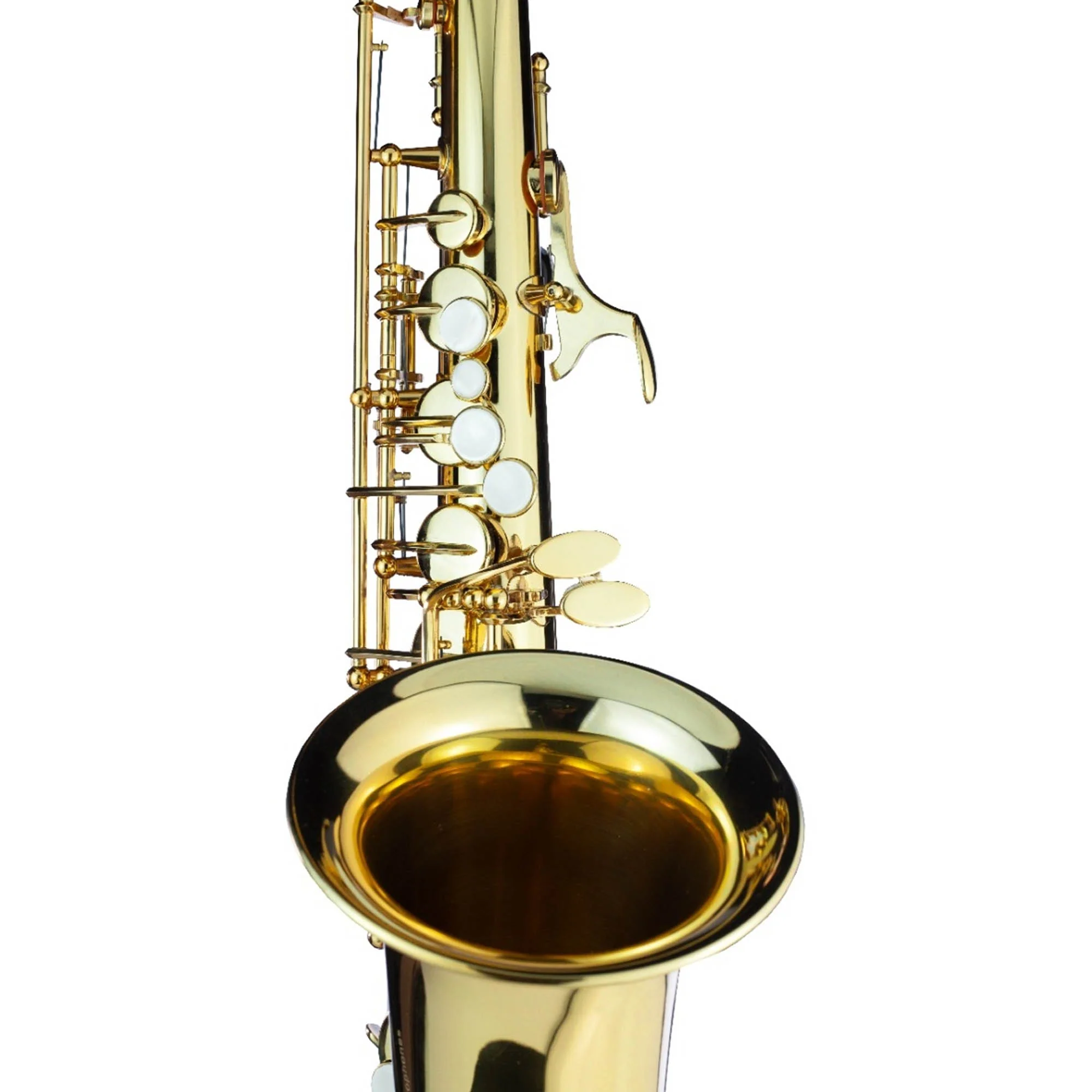 Trevor James Alphasax Alto Saxophone Outfit - Lacquer - Image 8