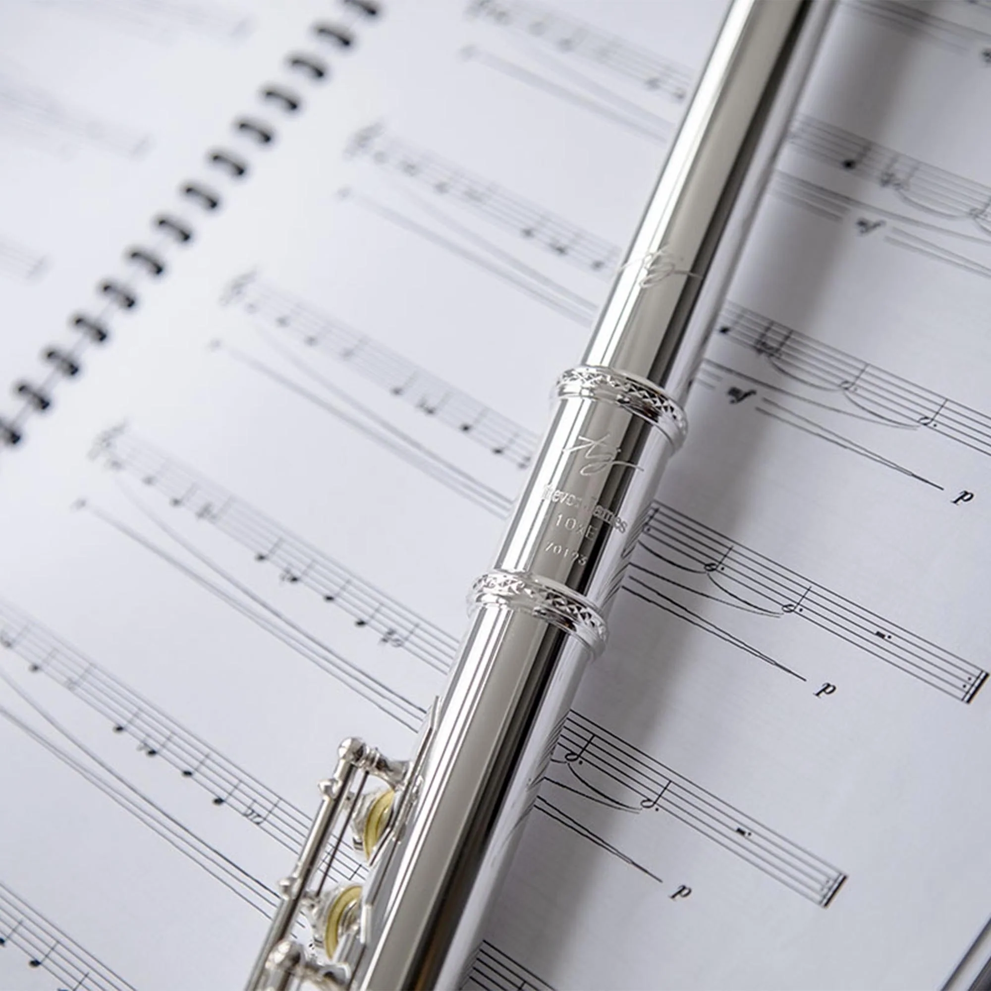 Trevor James TJ10XP Student Flute - Image 3